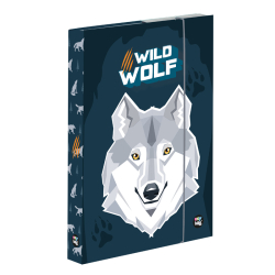 kolsk box A4 Wolf PP23