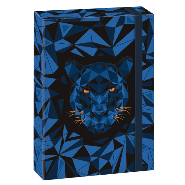 Box na zošity A4 Black Panther  ARS UNA