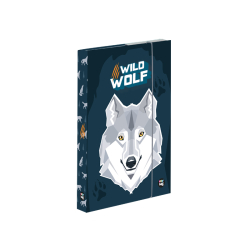 Školský box A5 Wolf PP23